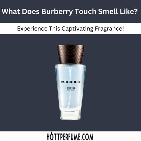 burberry black fragrance review|what does burberry smell like.